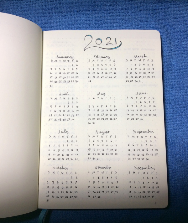 2021 year at a glance (bullet journal)